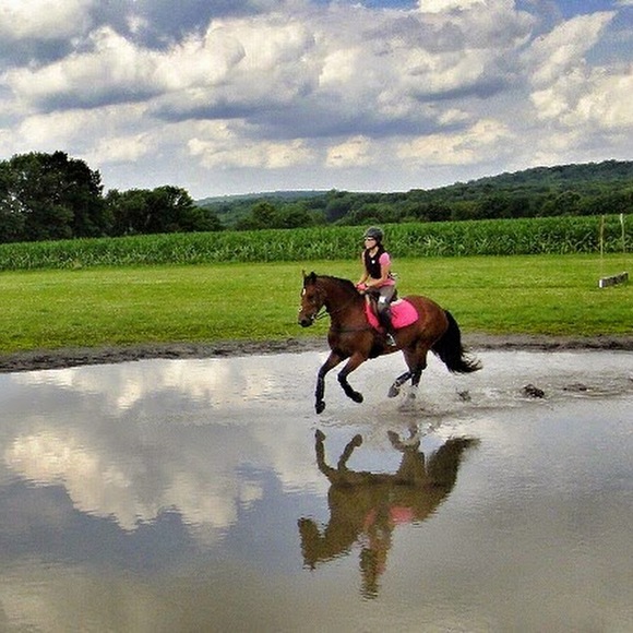 Meet your Posher, Adrienne - Picture 1 of 1